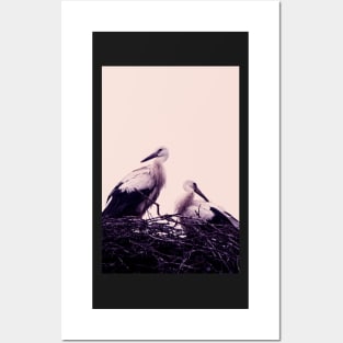 Storks Posters and Art